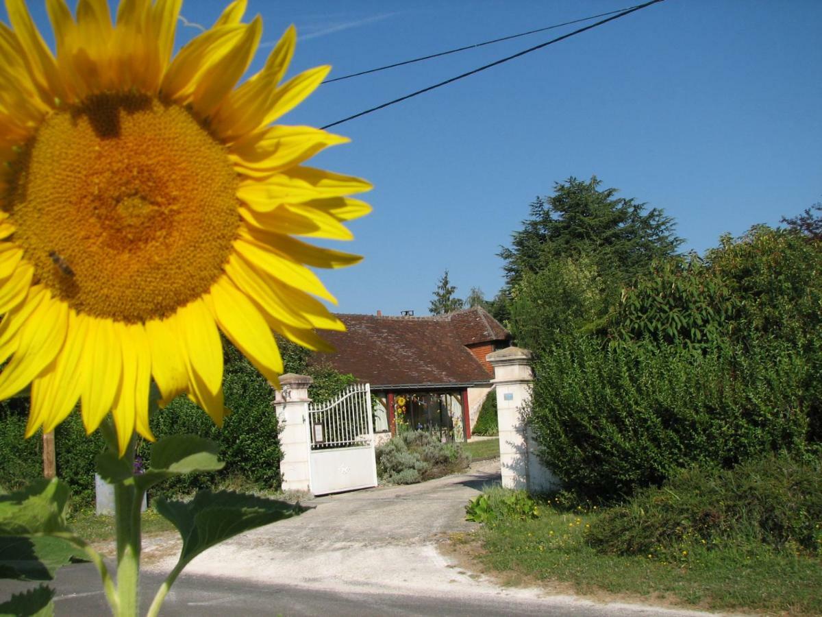 Chambourg-sur-Indre Le Clos Du Petit Marray B&B 외부 사진